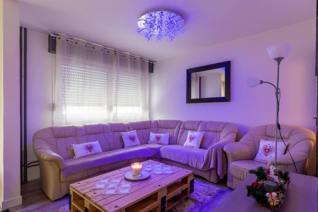 Superbe Appartement Spacieux Avec Parking Gratuit Illzach Zewnętrze zdjęcie